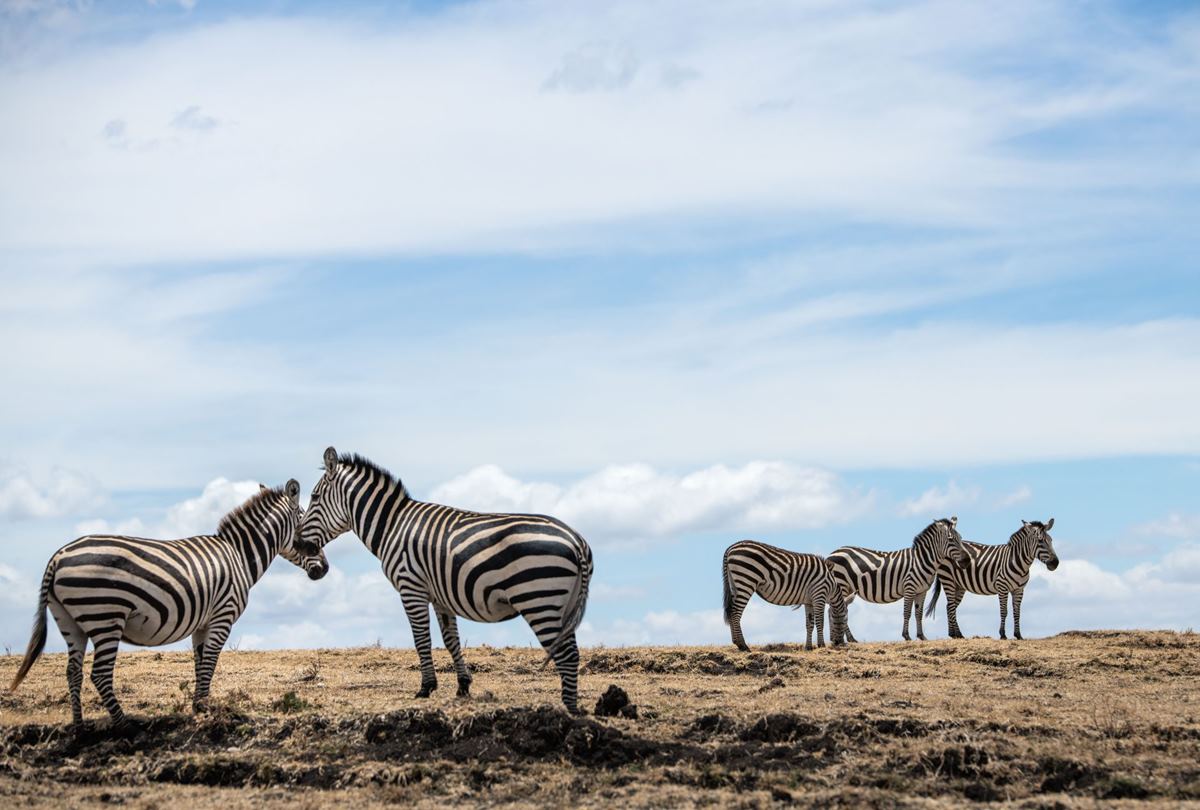 Manyara's Secret en Parque nacional del Lago Manyara